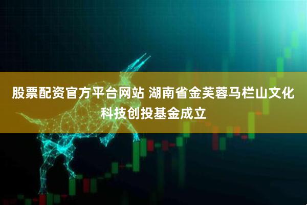 股票配资官方平台网站 湖南省金芙蓉马栏山文化科技创投基金成立