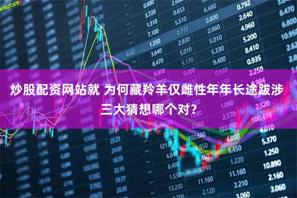 炒股配资网站就 为何藏羚羊仅雌性年年长途跋涉 三大猜想哪个对？